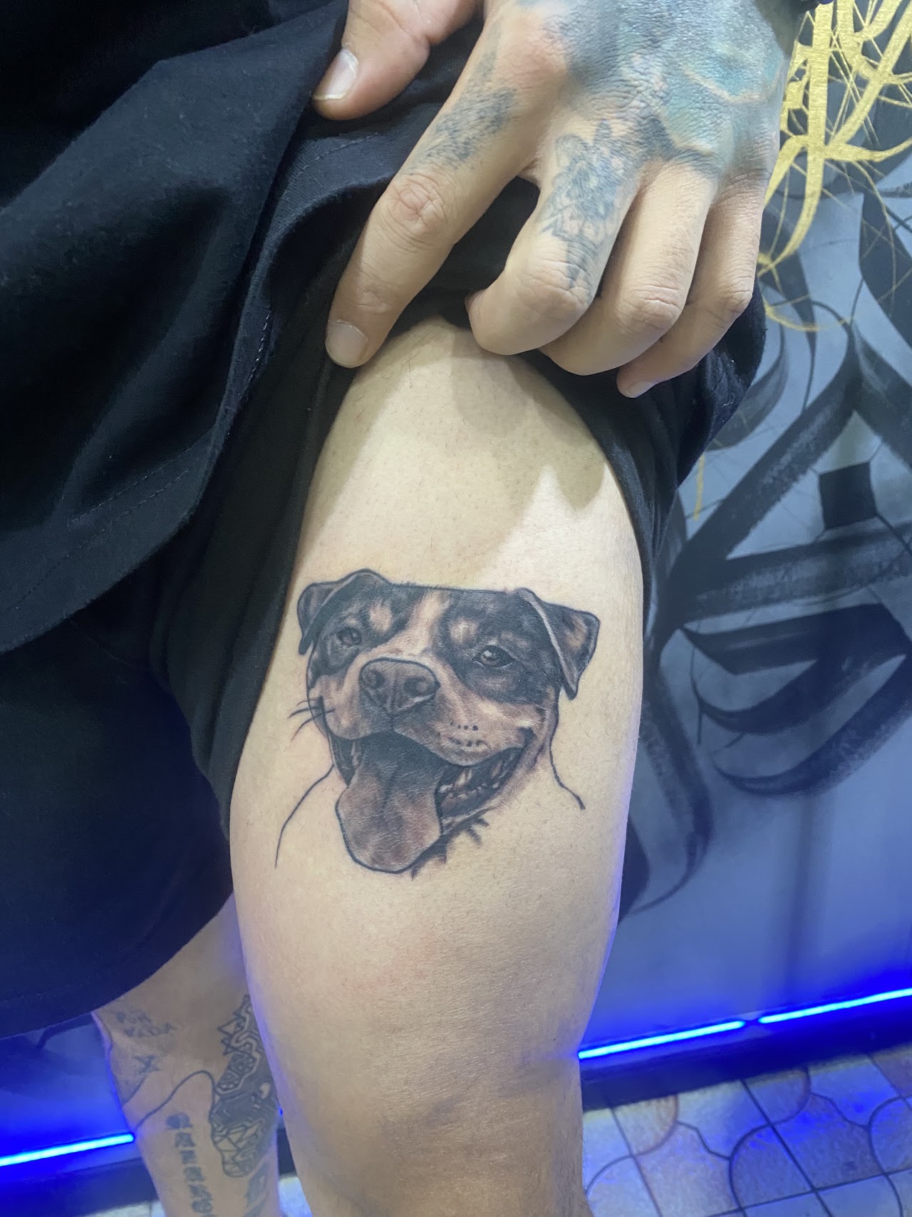 Tatuaje realista de retrato de perro, MDFK Tattoo Studio